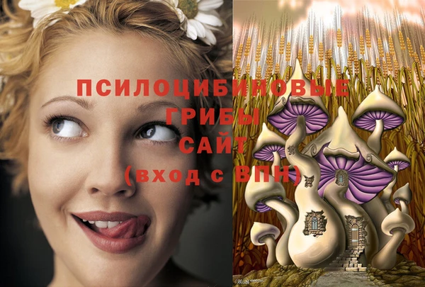 PSILOCYBIN Богданович